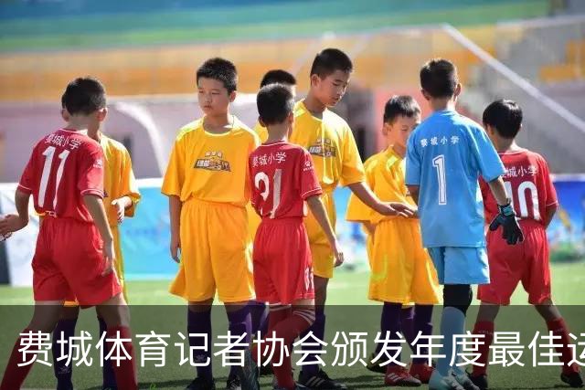 费城体育记者协会颁发年度最佳运动员奖予尼克斯队长